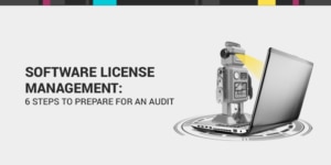 Software License Management Audit Tips